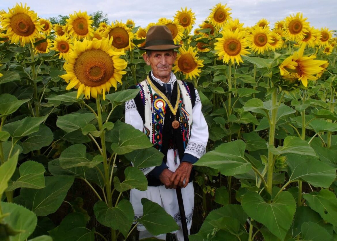 nica-paiu.jpg